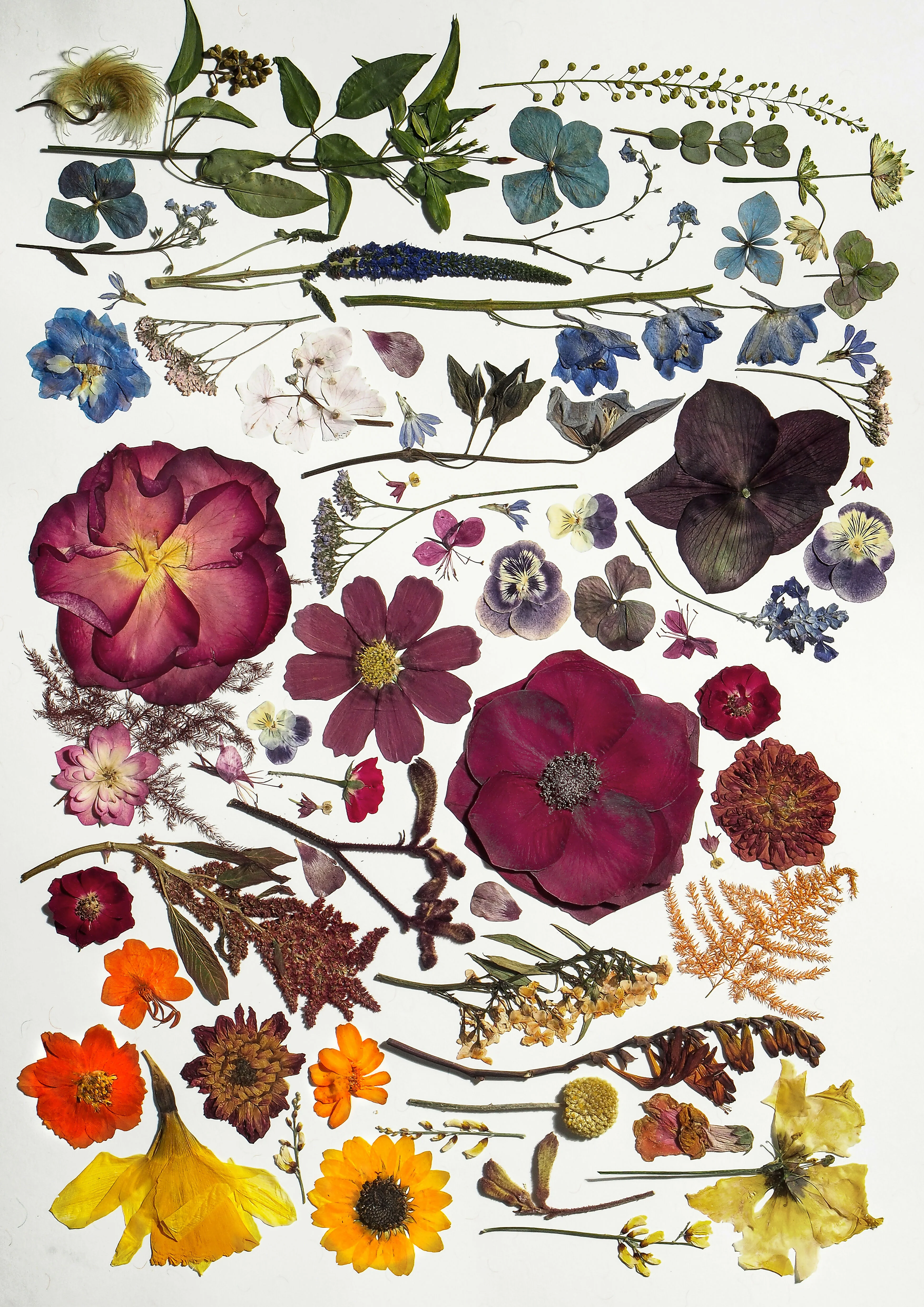 Pressed Flower Tea Towel - Image 10
