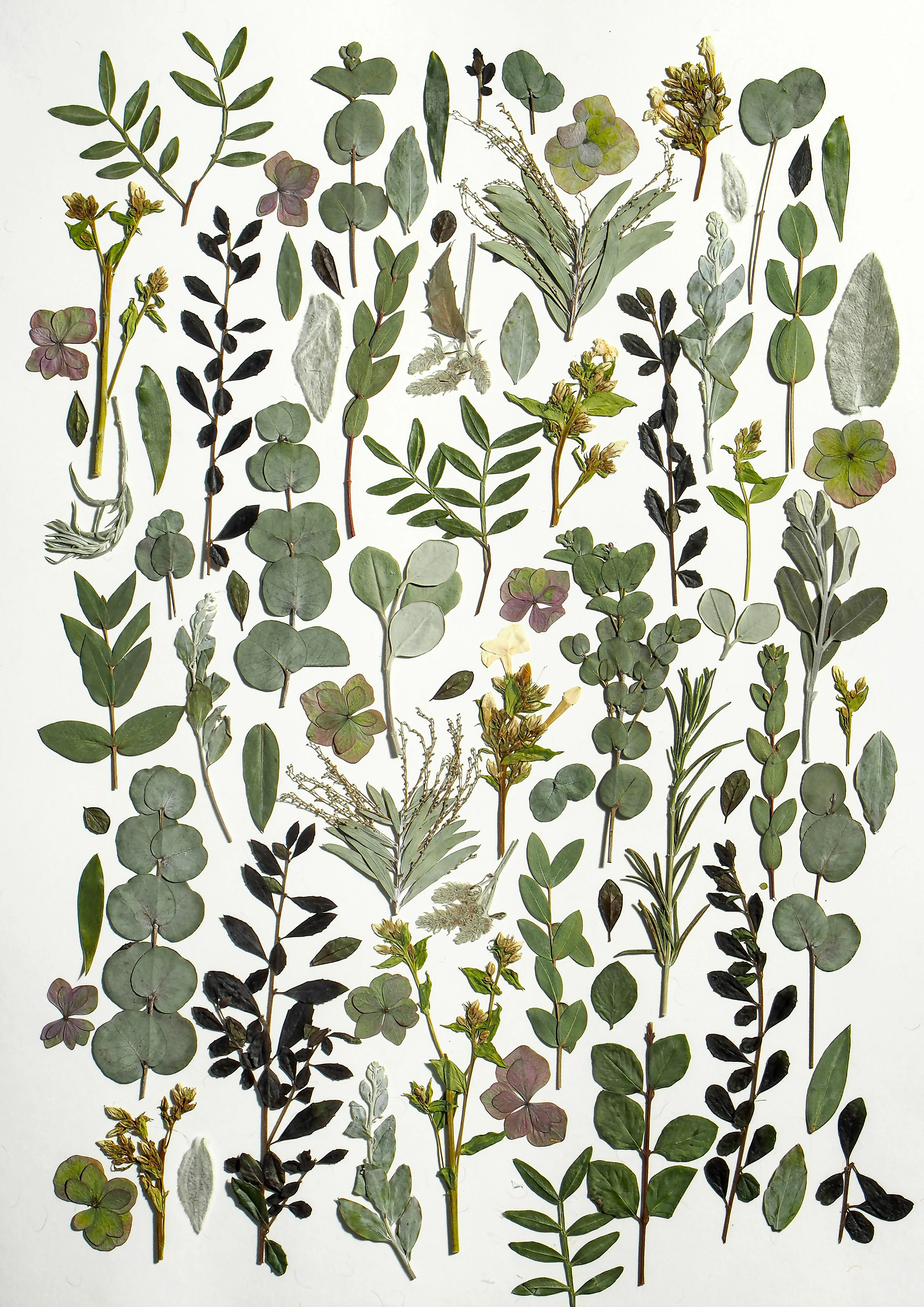 Pressed Flower Tea Towel - Image 8